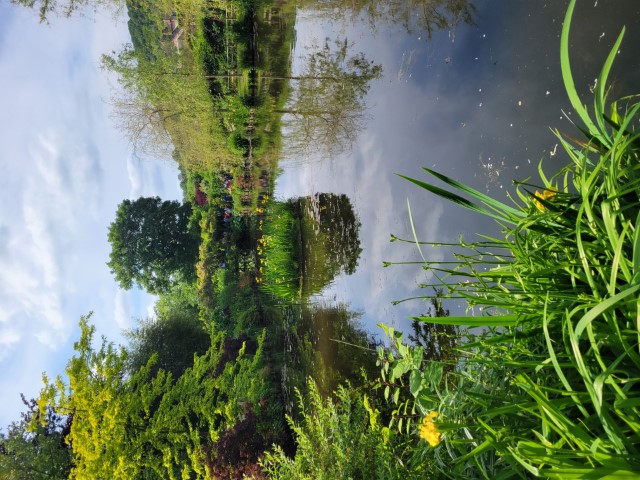 20220519_164732.jpg